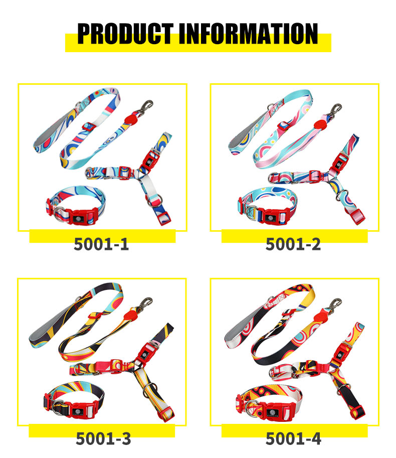cool collar for dogs.jpg